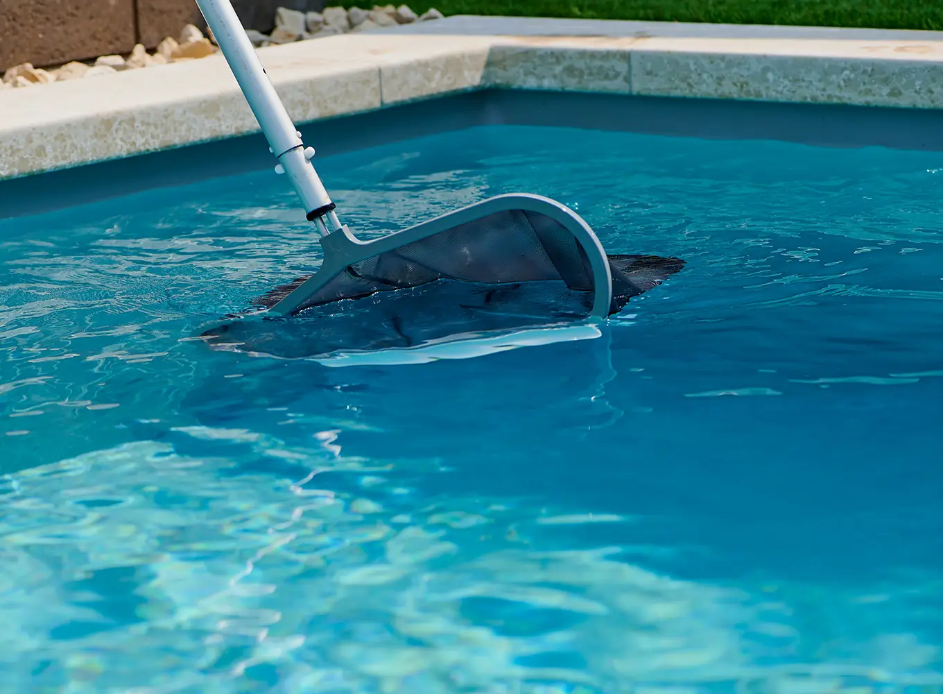 pool cleaning equipment services in Collinsville IL